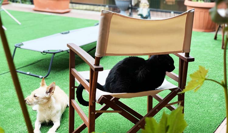 Hotel pet friendly Asti