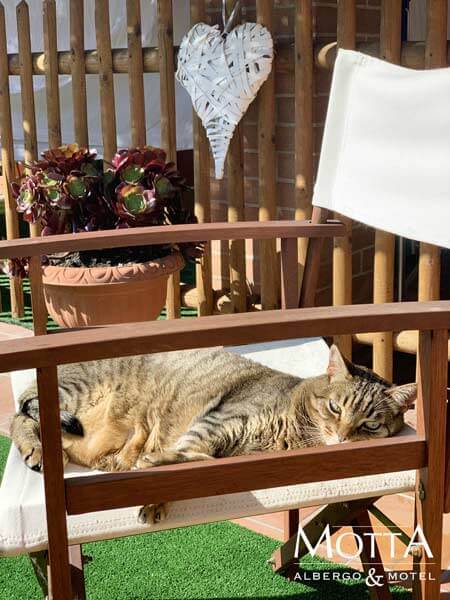 Hotel Pet Friendly Asti 02