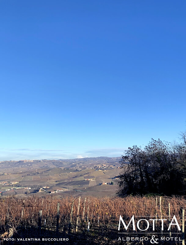 Cicloturismo Langhe - Vista delle Langhe da Alba in Piemonte