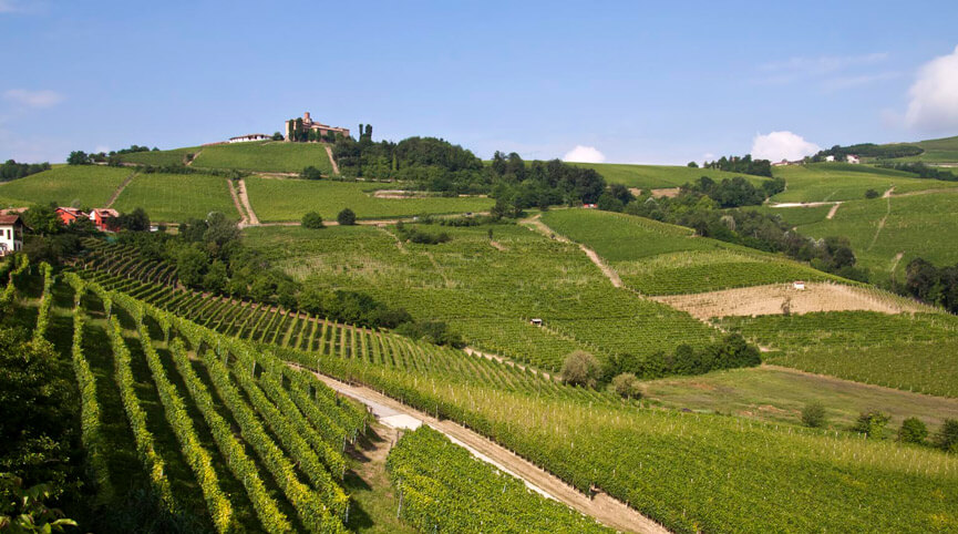 Langhe - Roero - Monferrato patrimonio UNESCO