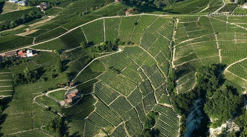 Le eccellenze collinari: alla scoperta di Nizza Monferrato Le eccellenze collinari: alla scoperta di Nizza Monferrato