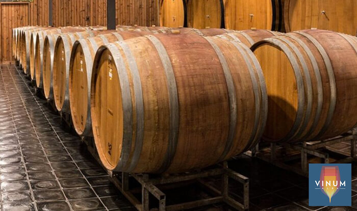 Eventi Langhe e Roero - Vinum Alba, Cantine