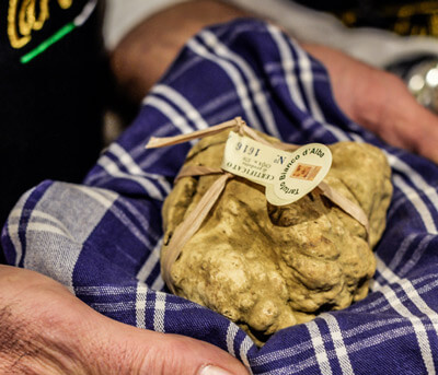 Tartufo bianco