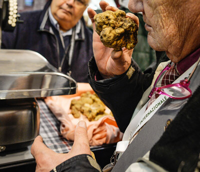 Raccolta tartufo e sua valutazione