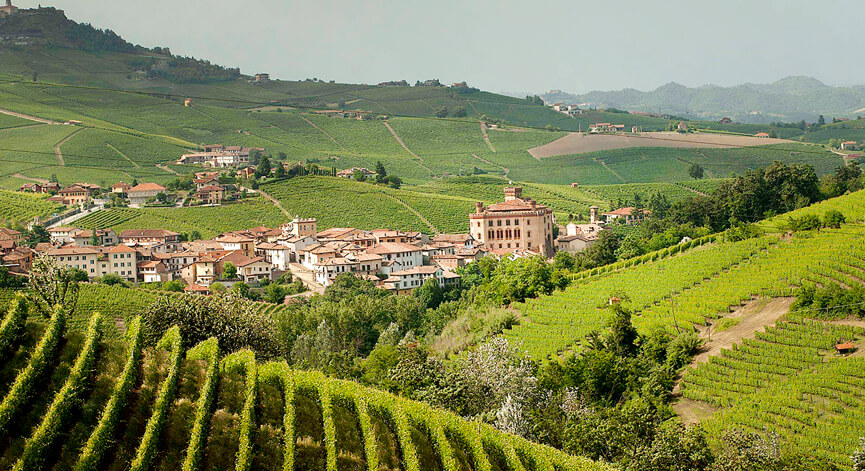 Giri in Moto nelle Langhe - Tour da Alba alle Langhe del Barolo Giri in Moto nelle Langhe - Langhe del Barolo