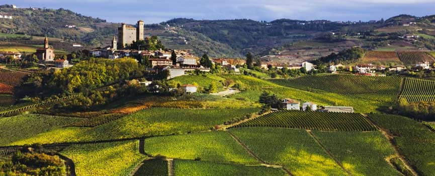 Piemontese: Monferrato Langhe Roero - Panorama