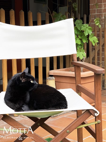 Vacanze Con Animali Immersi Tra Le Colline Delle Langhe 01