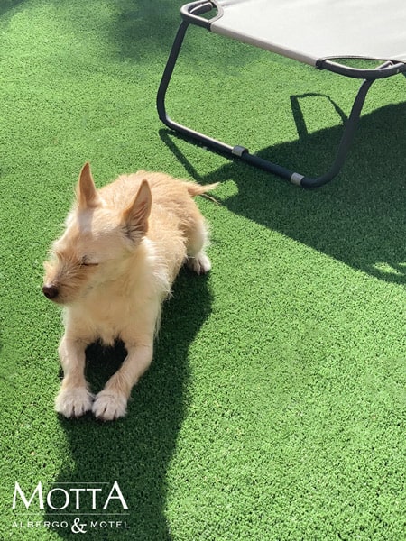 Vacanze Con Animali Immersi Tra Le Colline Delle Langhe 02
