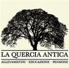Riconoscimenti - Centro Cinofilo "Quercia Antica"