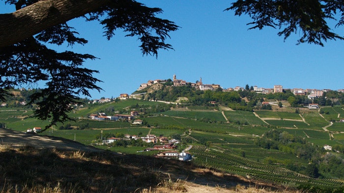 Vacanze Con Animali Immersi Tra Le Colline Delle Langhe La Morra