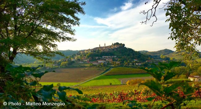 Vacanze con animali immersi tra le colline delle Langhe - Monteferrato