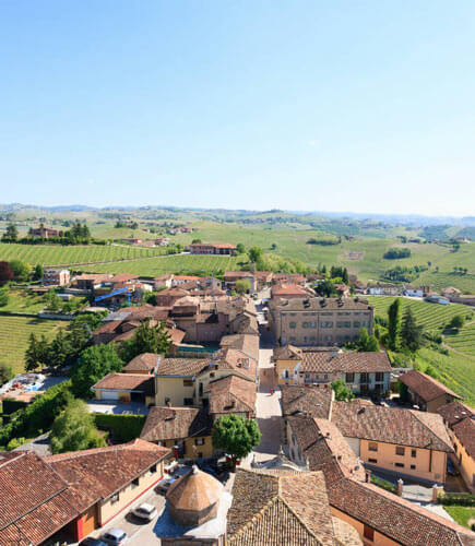 Vino Barbaresco e colline divine il Piemonte e anche questo - Comune di Barbaresco