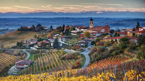 Vino Barbaresco e colline divine il Piemonte e anche questo - Treiso