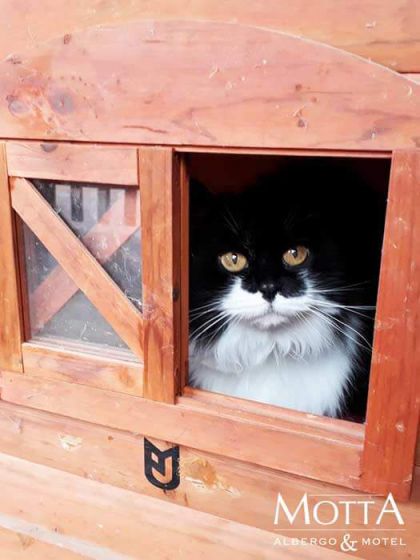 Hotel Pet Friendly Costigliole d'Asti