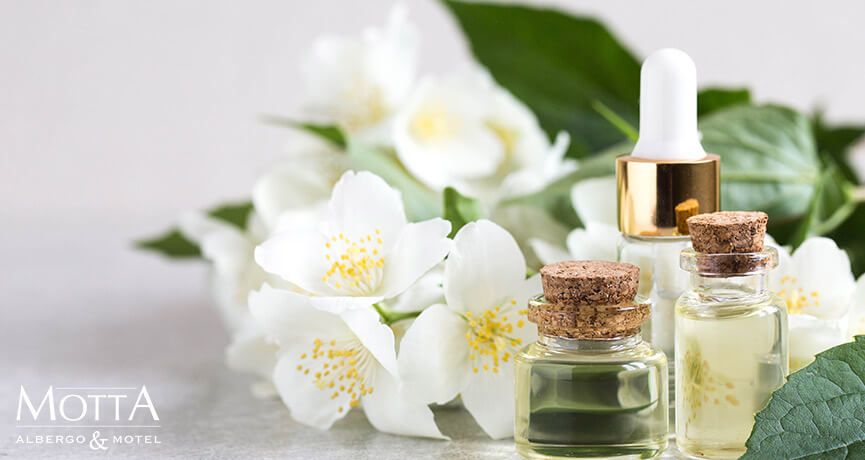 I Fiori di Bach e la Sessualità: le Indagini del Motta