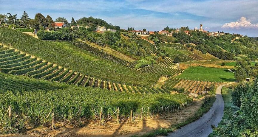 Itinerari Langhe: il Castello del Mago e il Mare Verde